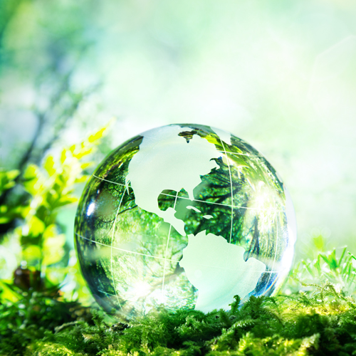 Safety and Sustainability